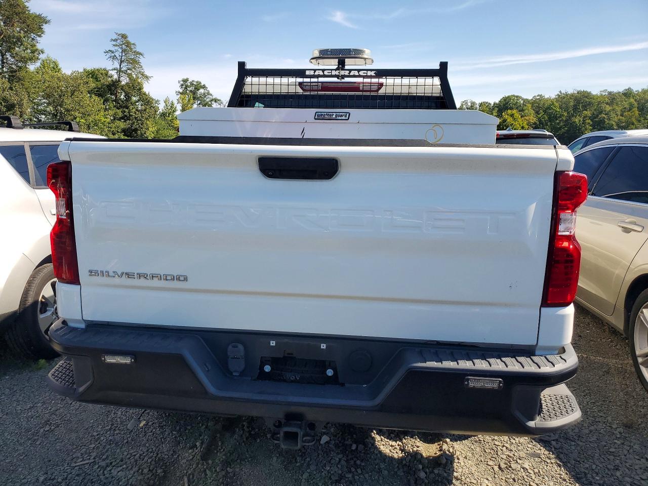3GCUDAED4PG115004 · 2023 CHEVROLET SILVERADO · 6/12
