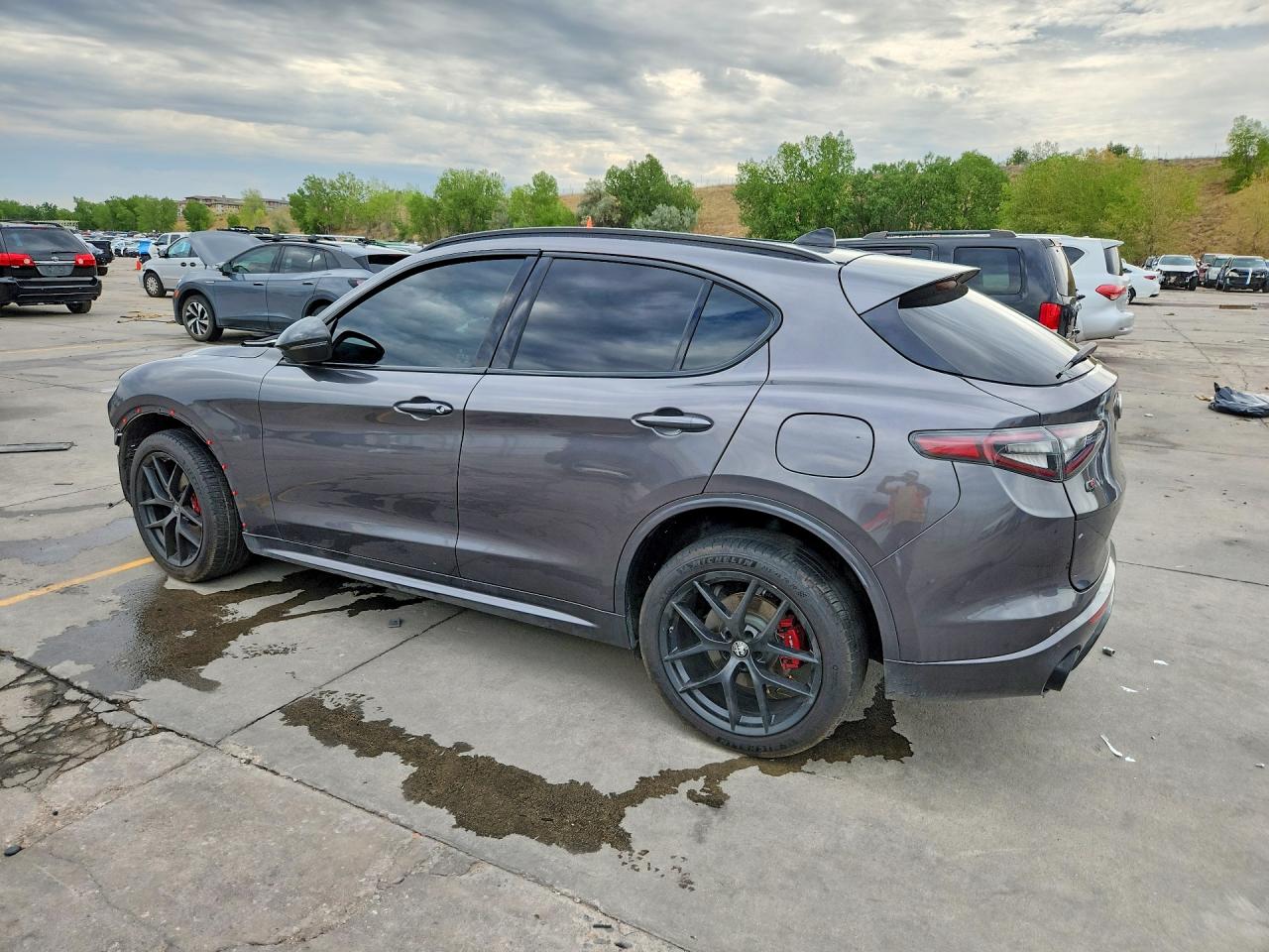 ZASPAKBN4M7D09829 · 2021 ALFA ROMEO STELVIO · 2/14