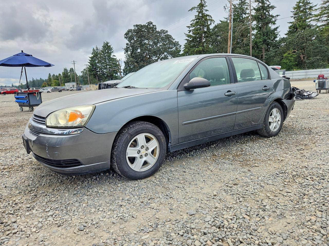 1G1ZT54835F316047 · 2005 CHEVROLET MALIBU
