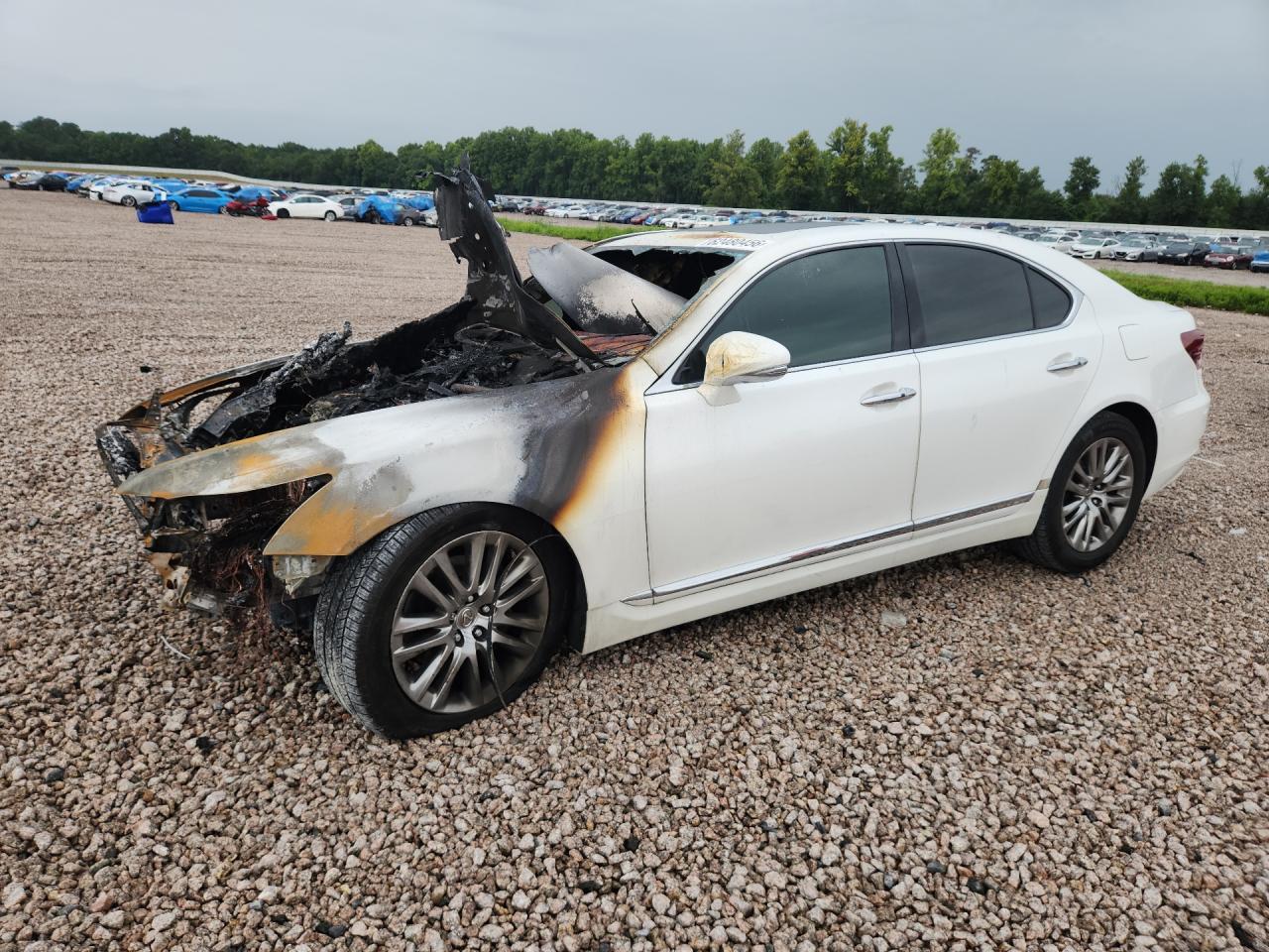 JTHBL5EF0E5128404 · 2014 LEXUS LS