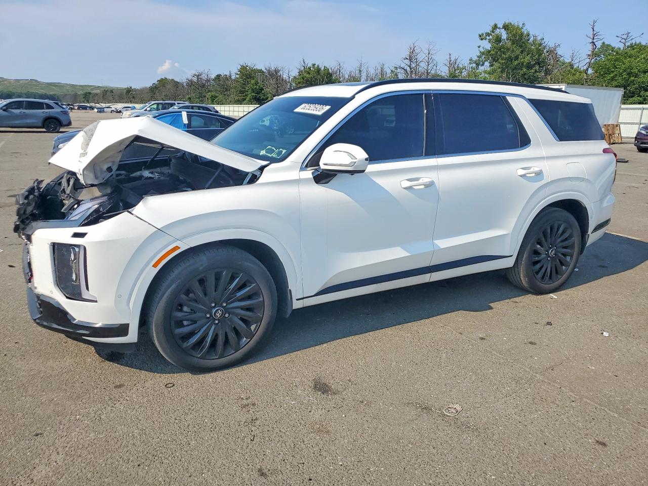 KM8R7DGE8RU797885 · 2024 HYUNDAI PALISADE