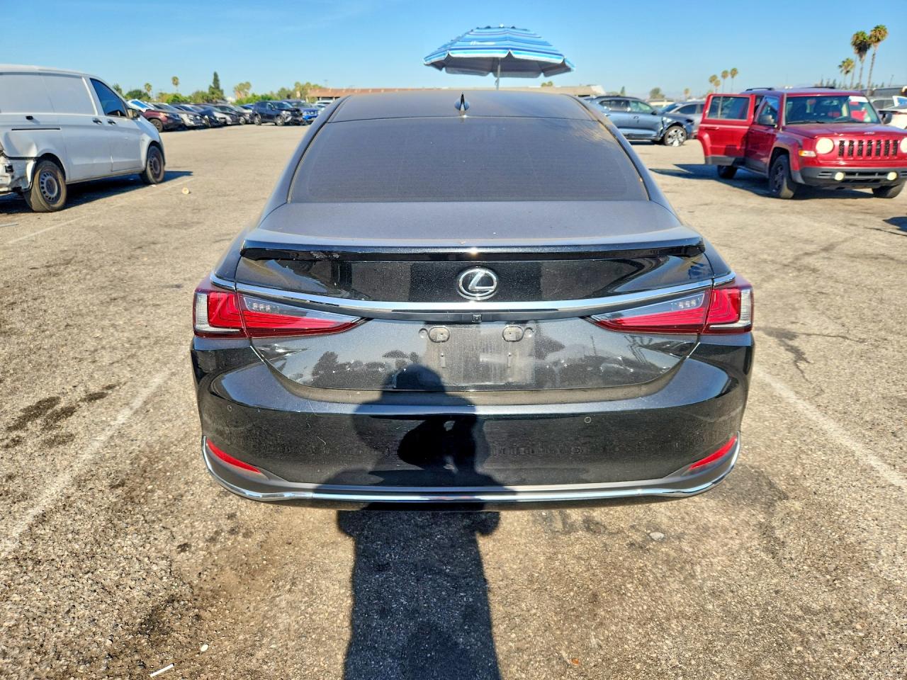 58ADA1C16SU075679 · 2025 LEXUS ES 300H · 6/13
