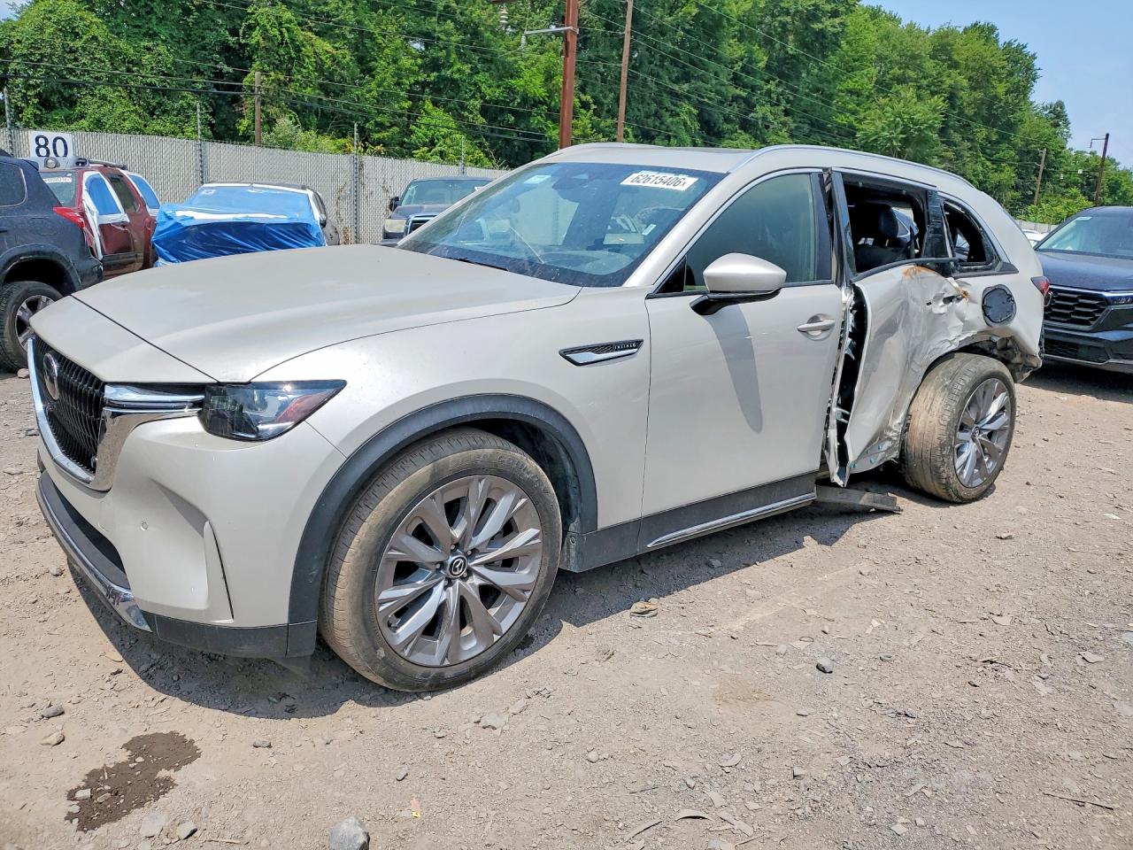 JM3KKEHD2S1212765 · 2025 MAZDA CX-90
