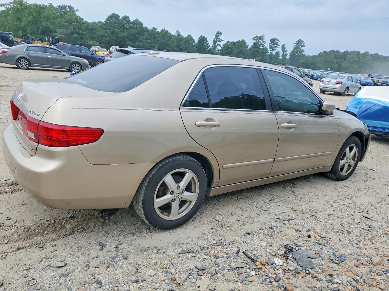 1HGCM56885A016588 · 2005 HONDA ACCORD · 3/12