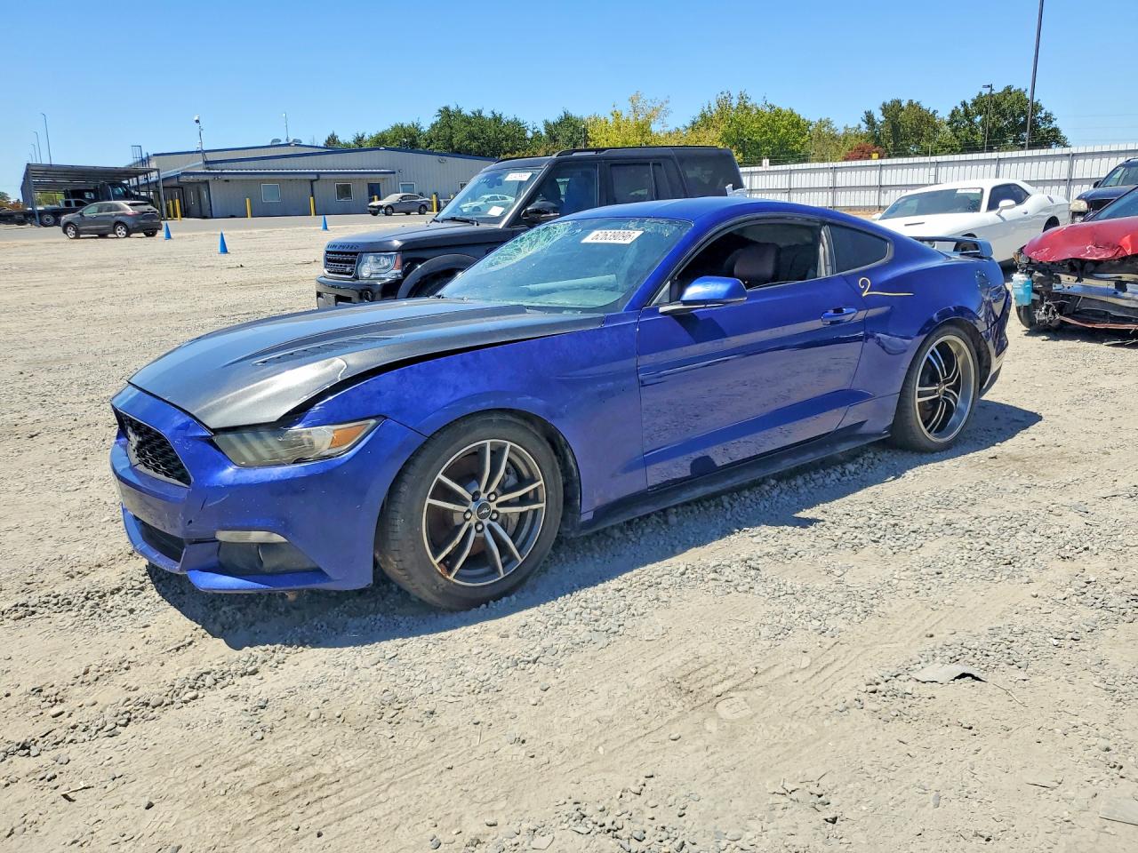 1FA6P8CF0G5269185 · 2016 FORD MUSTANG