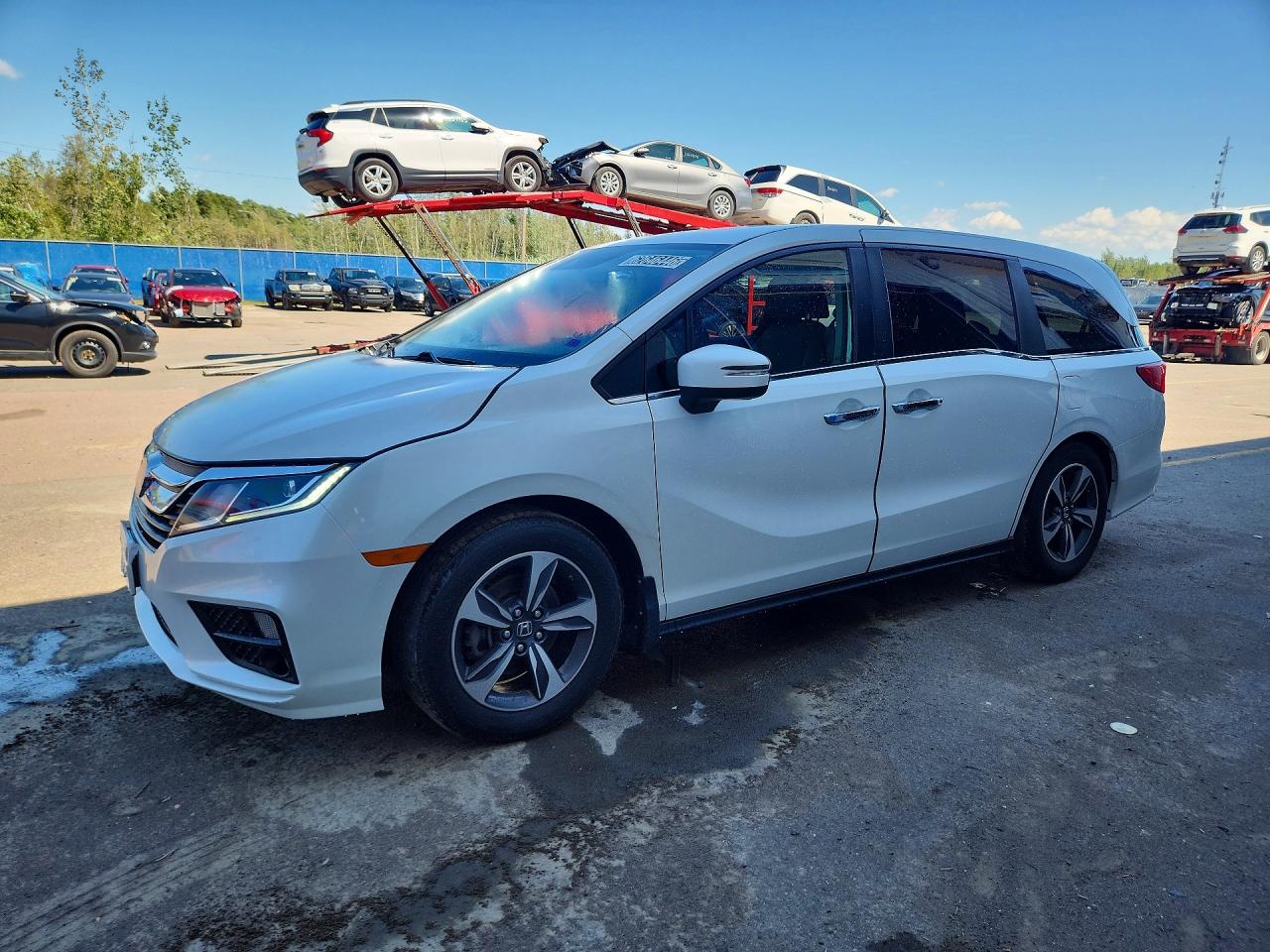 5FNRL6H46LB503952 · 2020 HONDA ODYSSEY