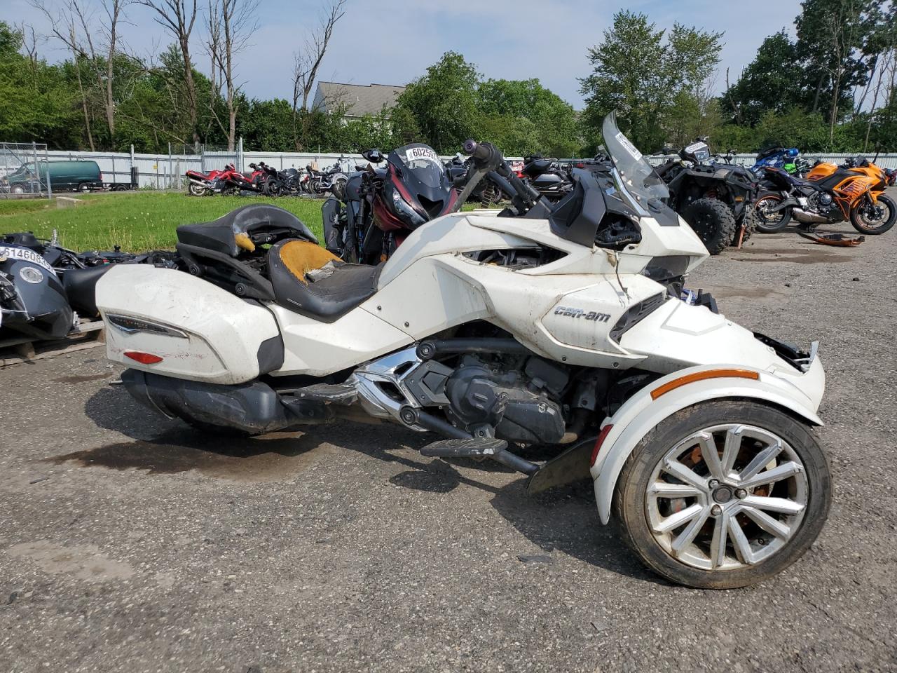 2BXREDD25HV002699 · 2017 CAN-AM SPYDER ROADSTER