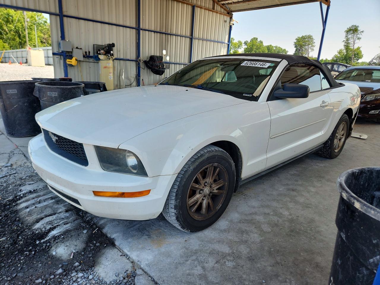 1ZVHT84N585178884 · 2008 FORD MUSTANG
