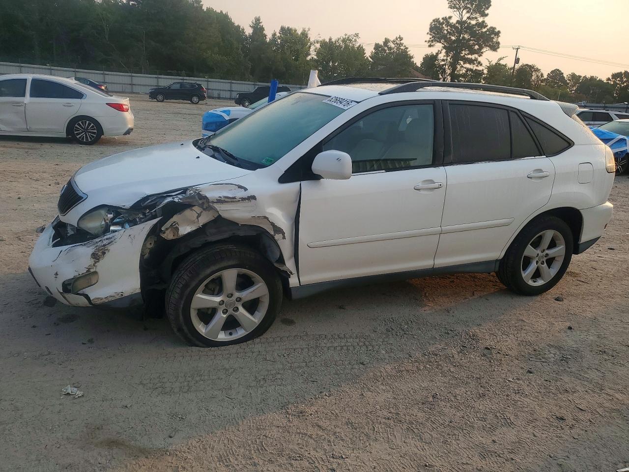 2T2HA31U24C005971 · 2004 LEXUS RX