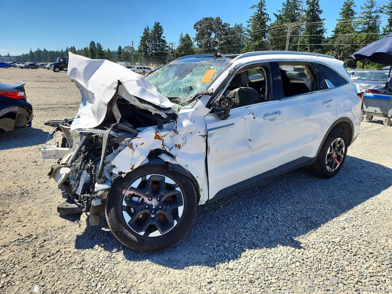 5XYRLDJC4RG300873 · 2024 KIA SORENTO