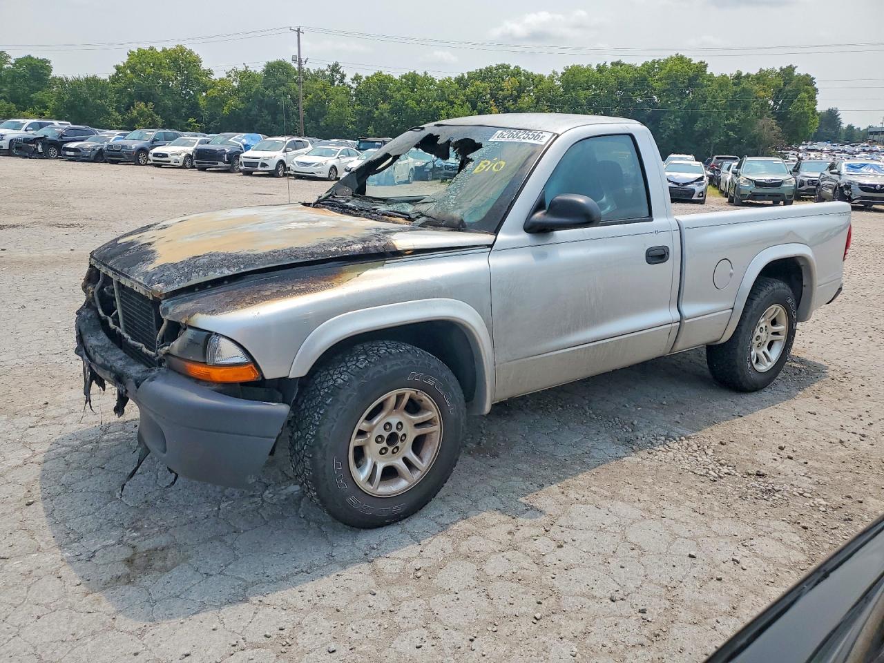 1D7FL16X43S228562 · 2003 DODGE DAKOTA
