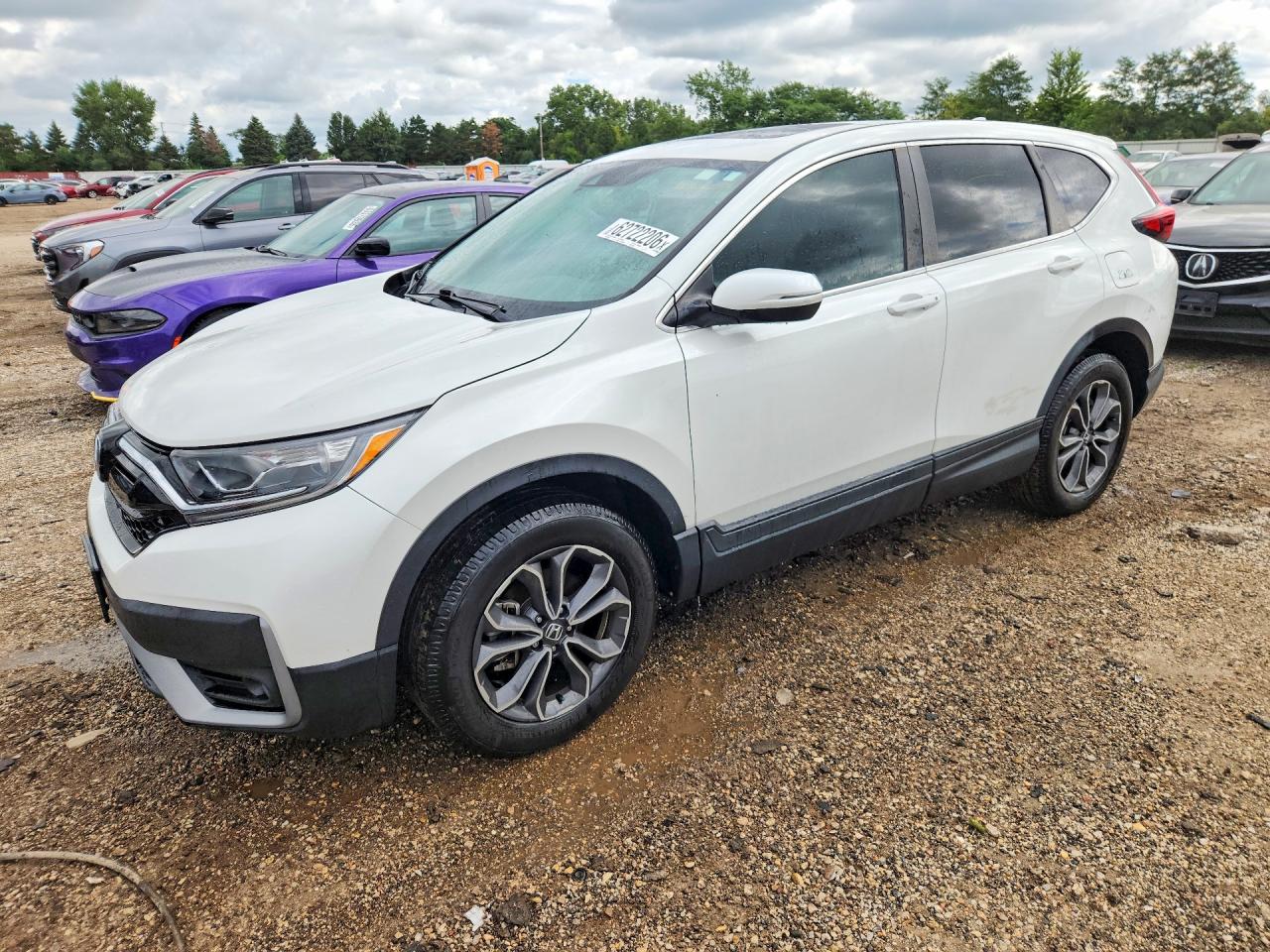 5J6RW2H86LL010377 · 2020 HONDA CR-V