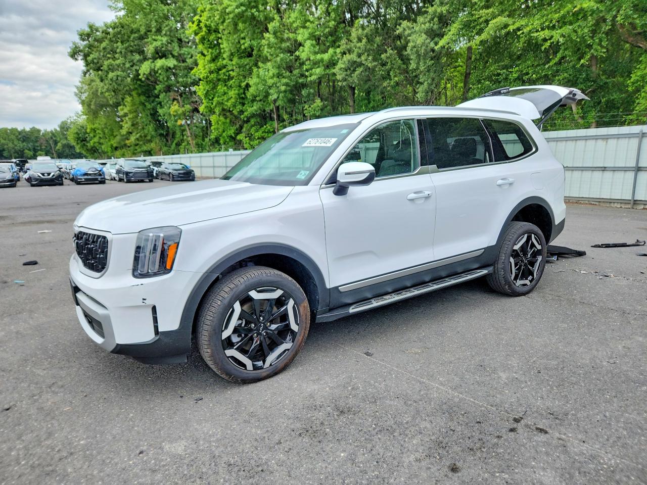 5XYP34GC3RG511920 · 2024 KIA TELLURIDE