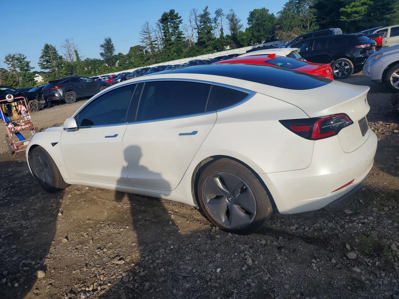 5YJ3E1EB6KF199574 · 2019 TESLA MODEL 3 · 2/12