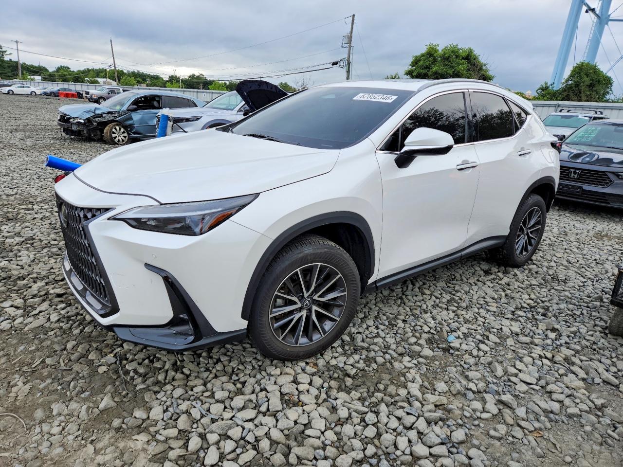 2025 LEXUS NX 350