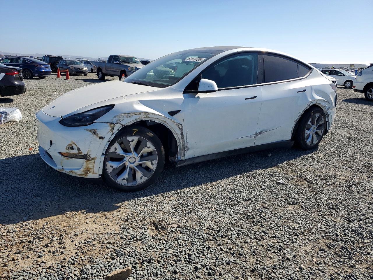 2024 TESLA MODEL Y