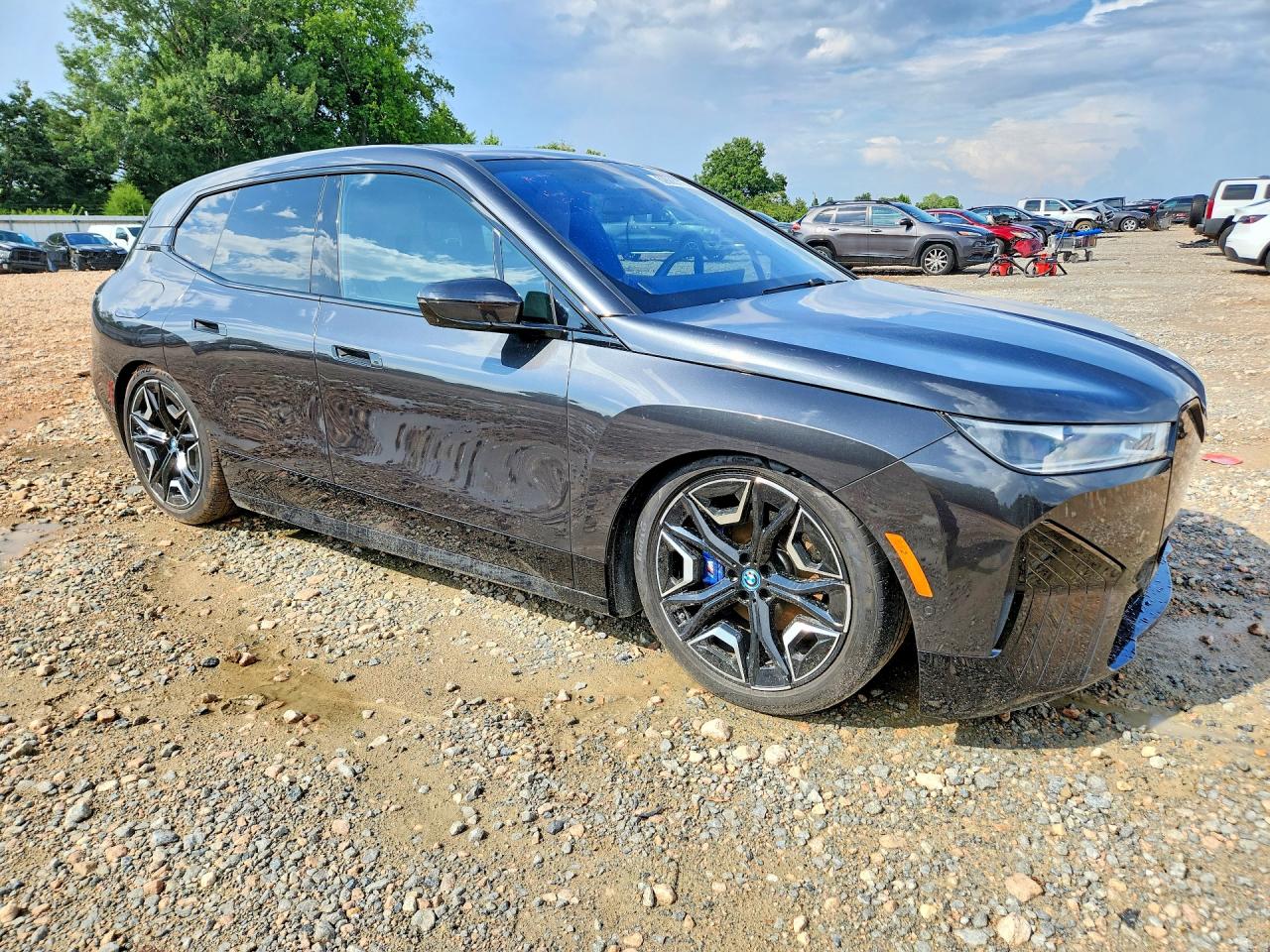 WB533CF07RCP65212 · 2024 BMW IX · 4/13