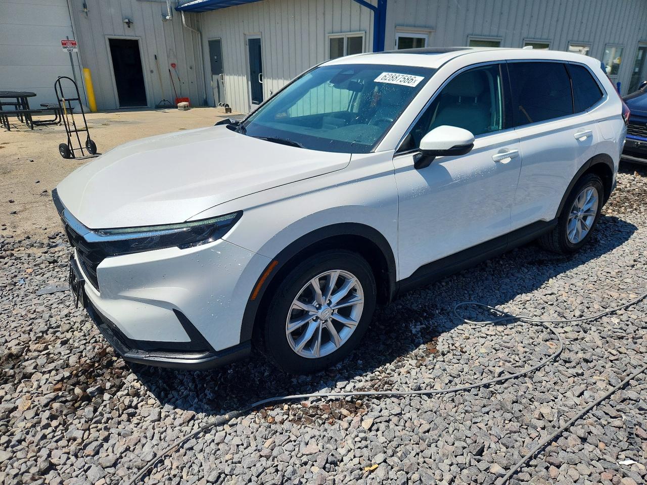 2HKRS4H71RH426516 · 2024 HONDA CR-V