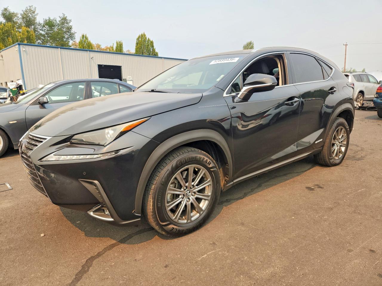 JTJBJRBZ0K2100223 · 2019 LEXUS NX