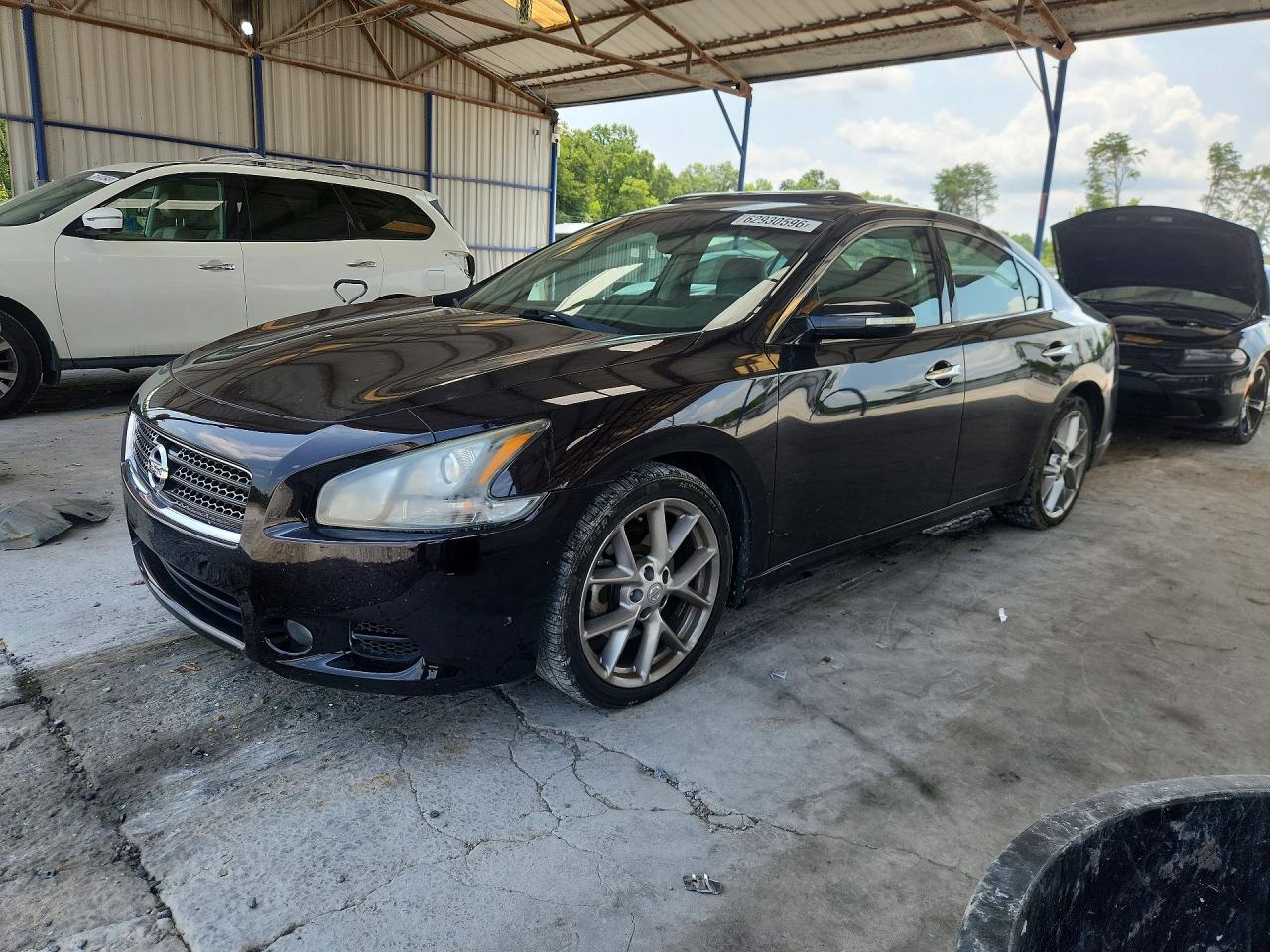 1N4AA5AP0BC847182 · 2011 NISSAN MAXIMA
