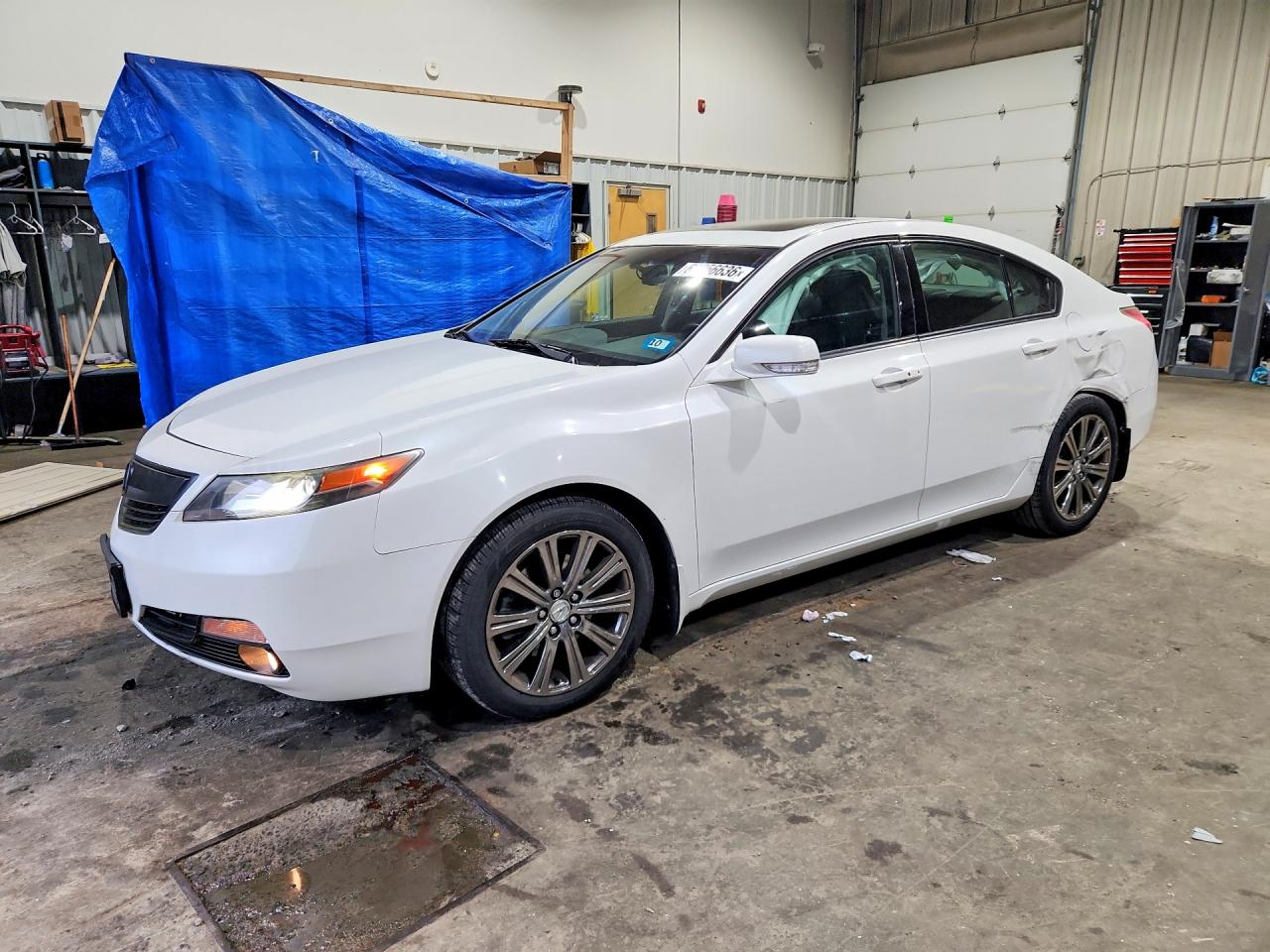 2013 ACURA TL