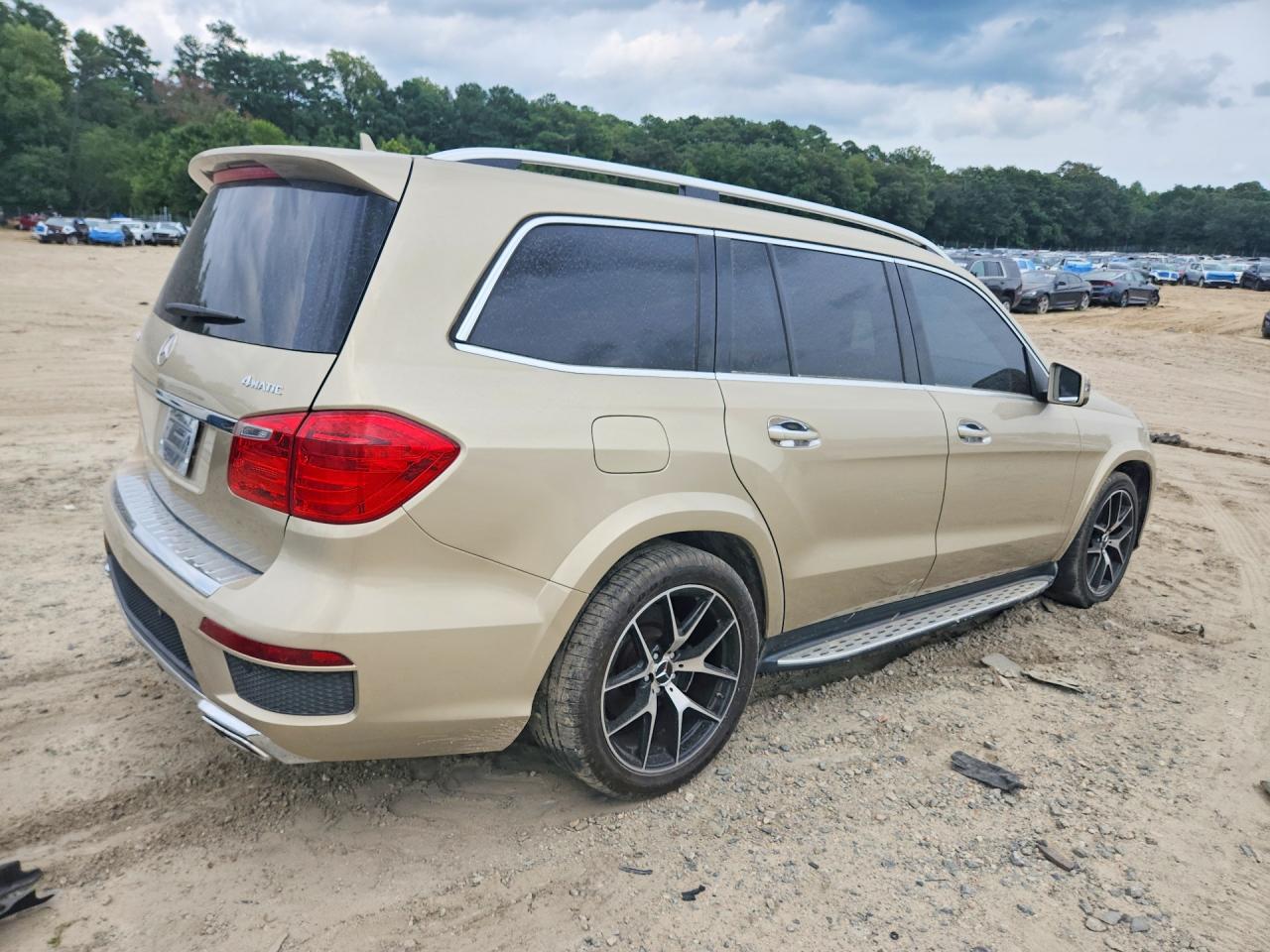 4JGDF7DE5DA244124 · 2013 MERCEDES-BENZ GL · 3/13