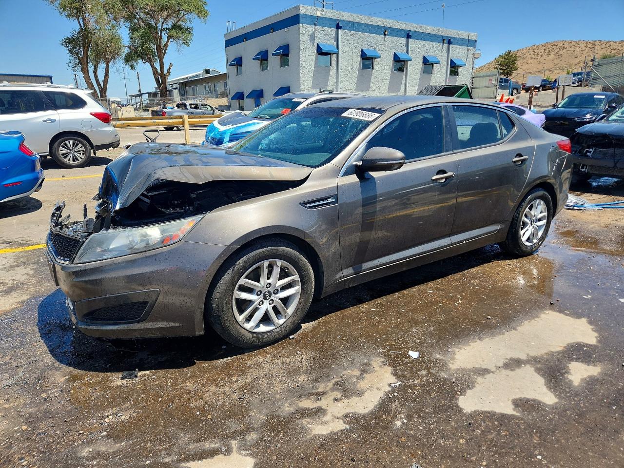 KNAGM4A71B5159814 · 2011 KIA OPTIMA