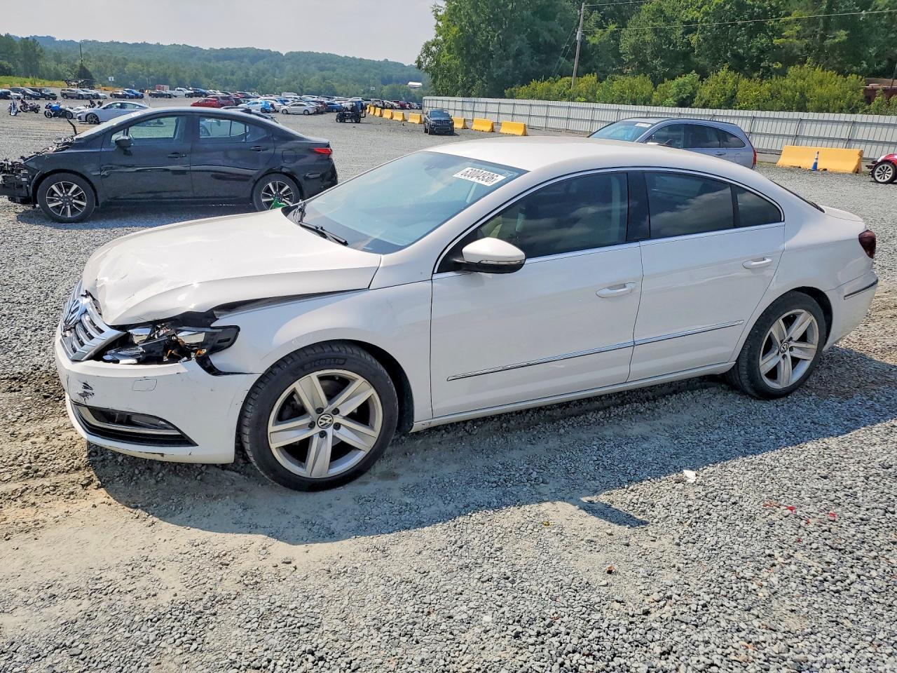 WVWBP7AN1EE504803 · 2014 VOLKSWAGEN CC