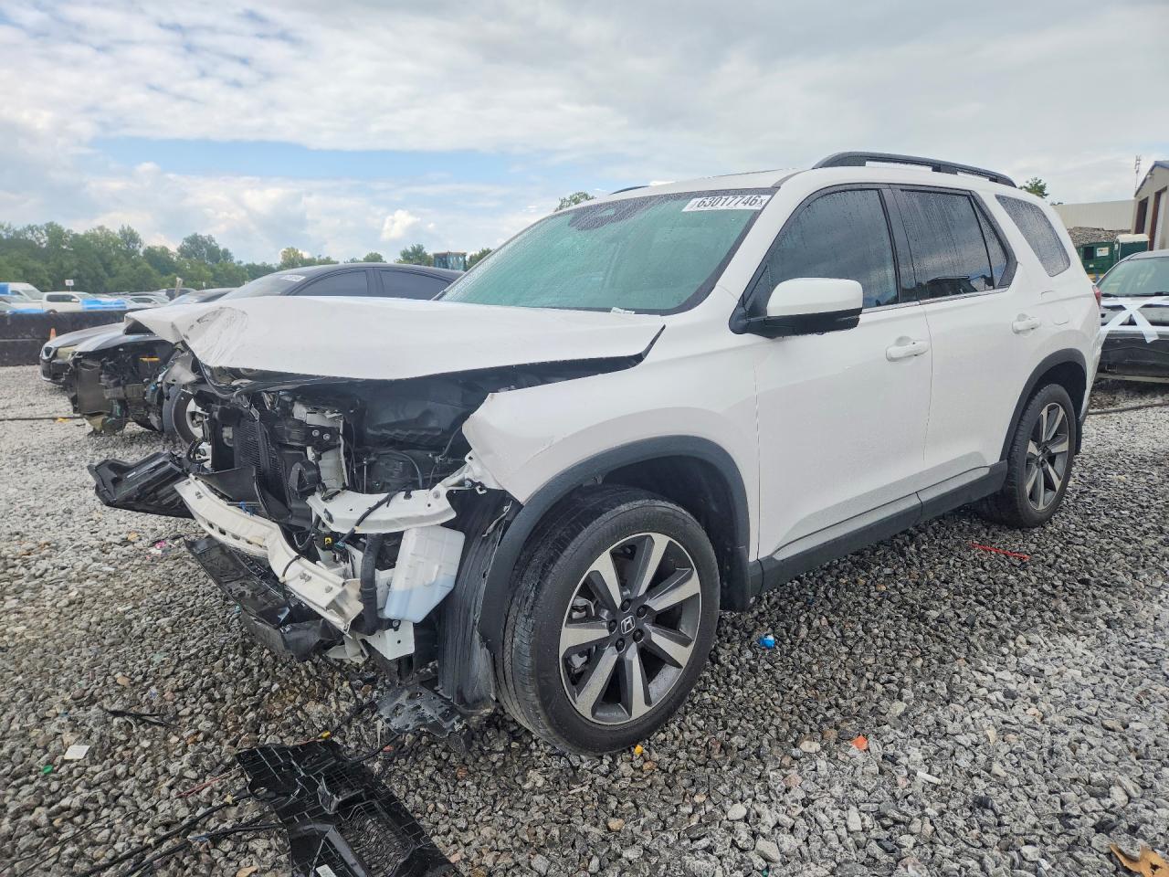 5FNYG1H84RB019938 · 2024 HONDA PILOT