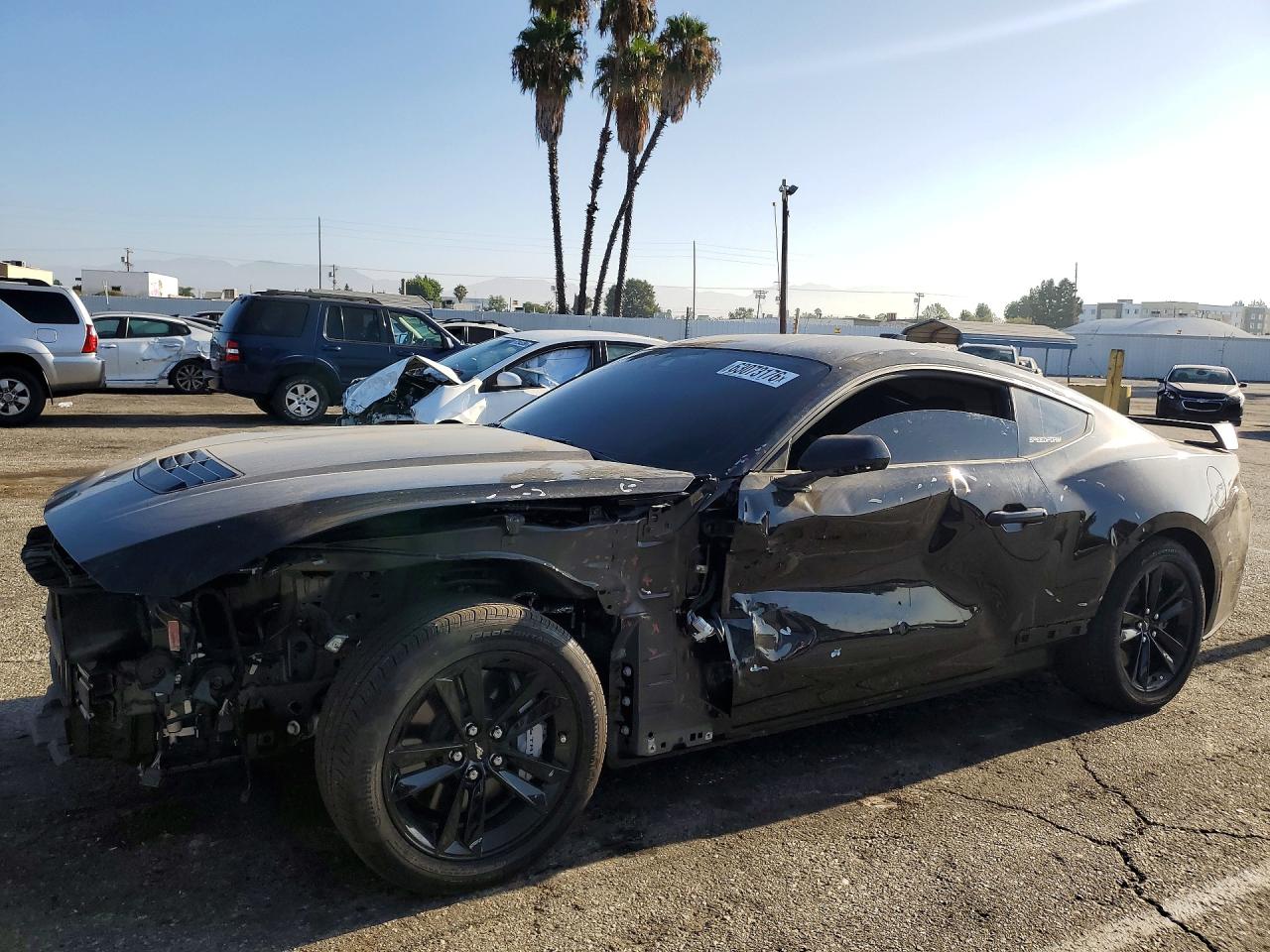 1FA6P8CFXS5411079 · 2025 FORD MUSTANG
