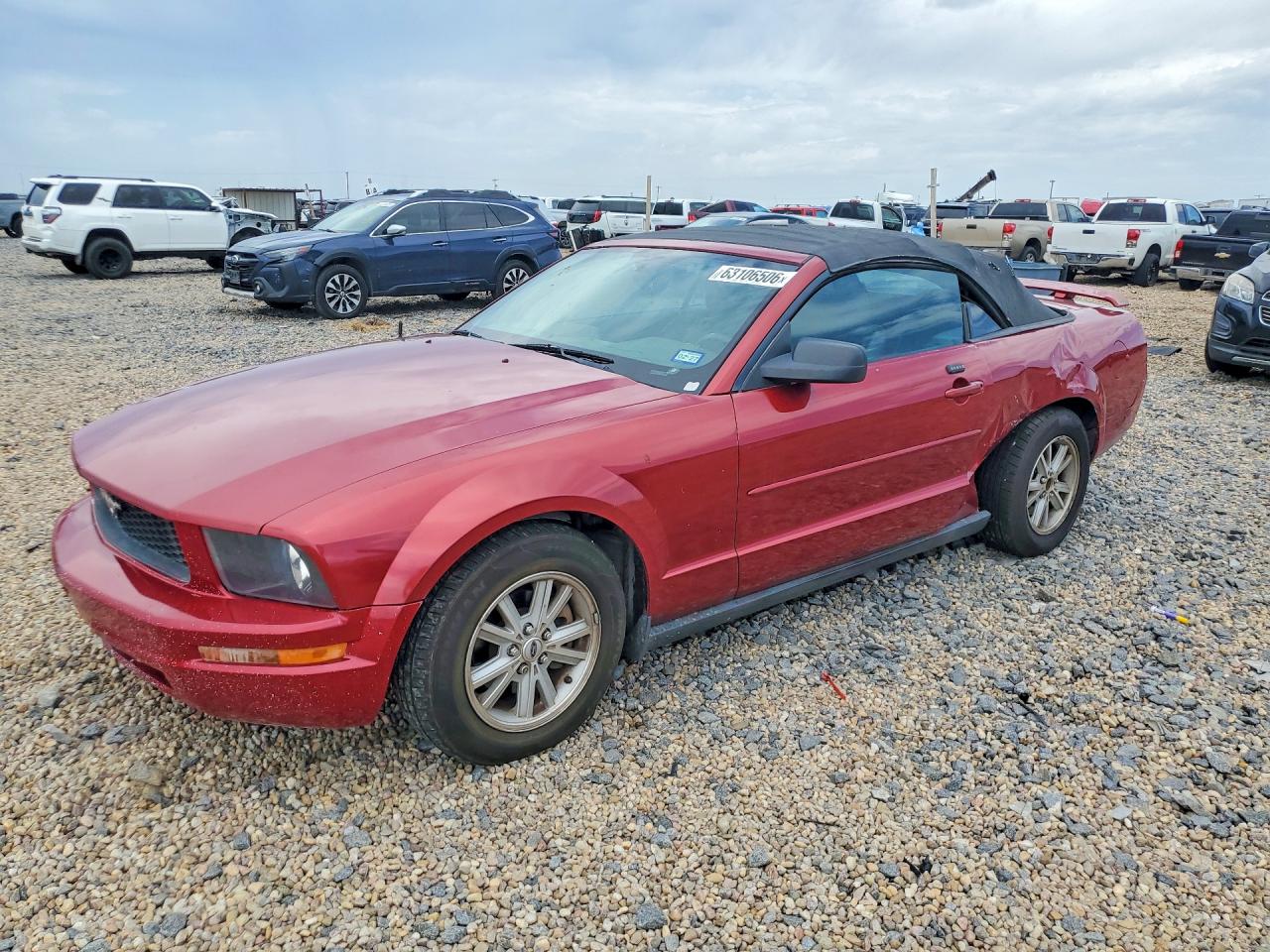 1ZVFT84N565189761 · 2006 FORD MUSTANG