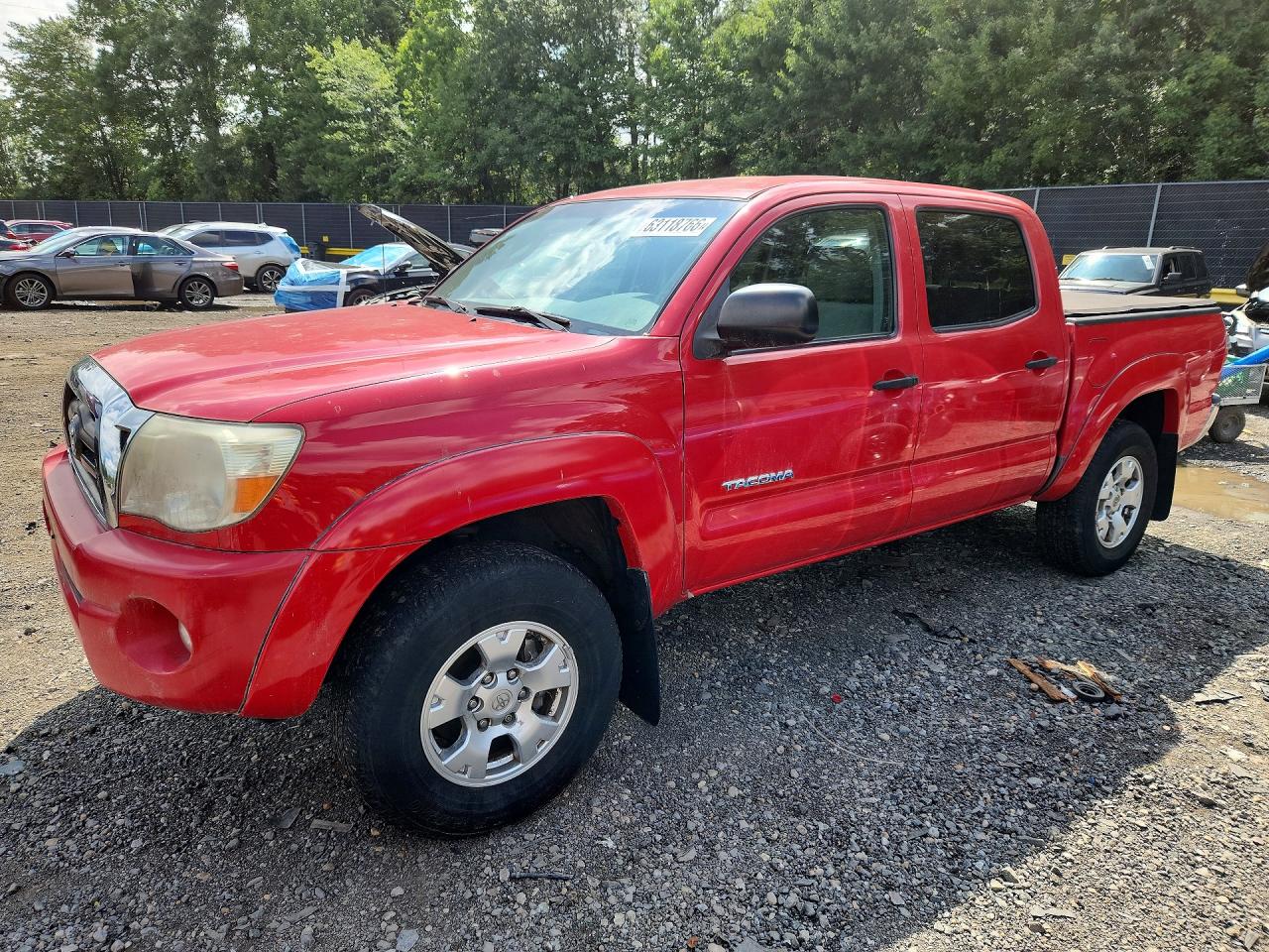 5TELU42N46Z216346 · 2006 TOYOTA TACOMA