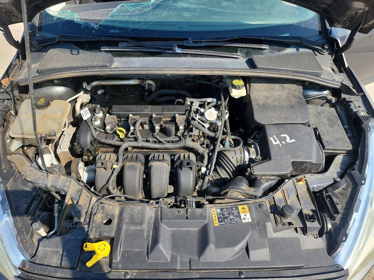 1FADP3E26HL251808 · 2017 FORD FOCUS · 11/12