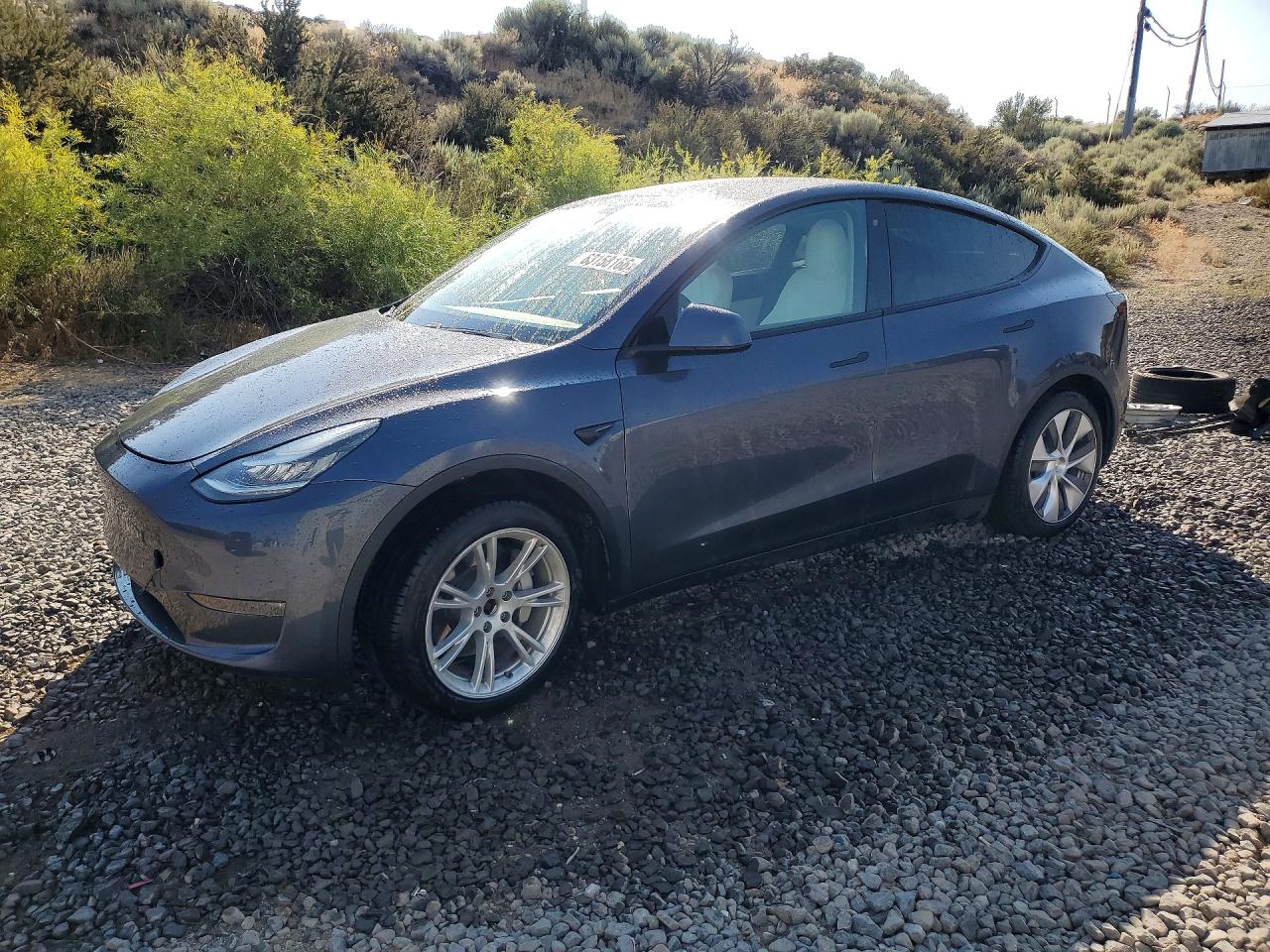5YJYGDEE7LF040396 · 2020 TESLA MODEL Y