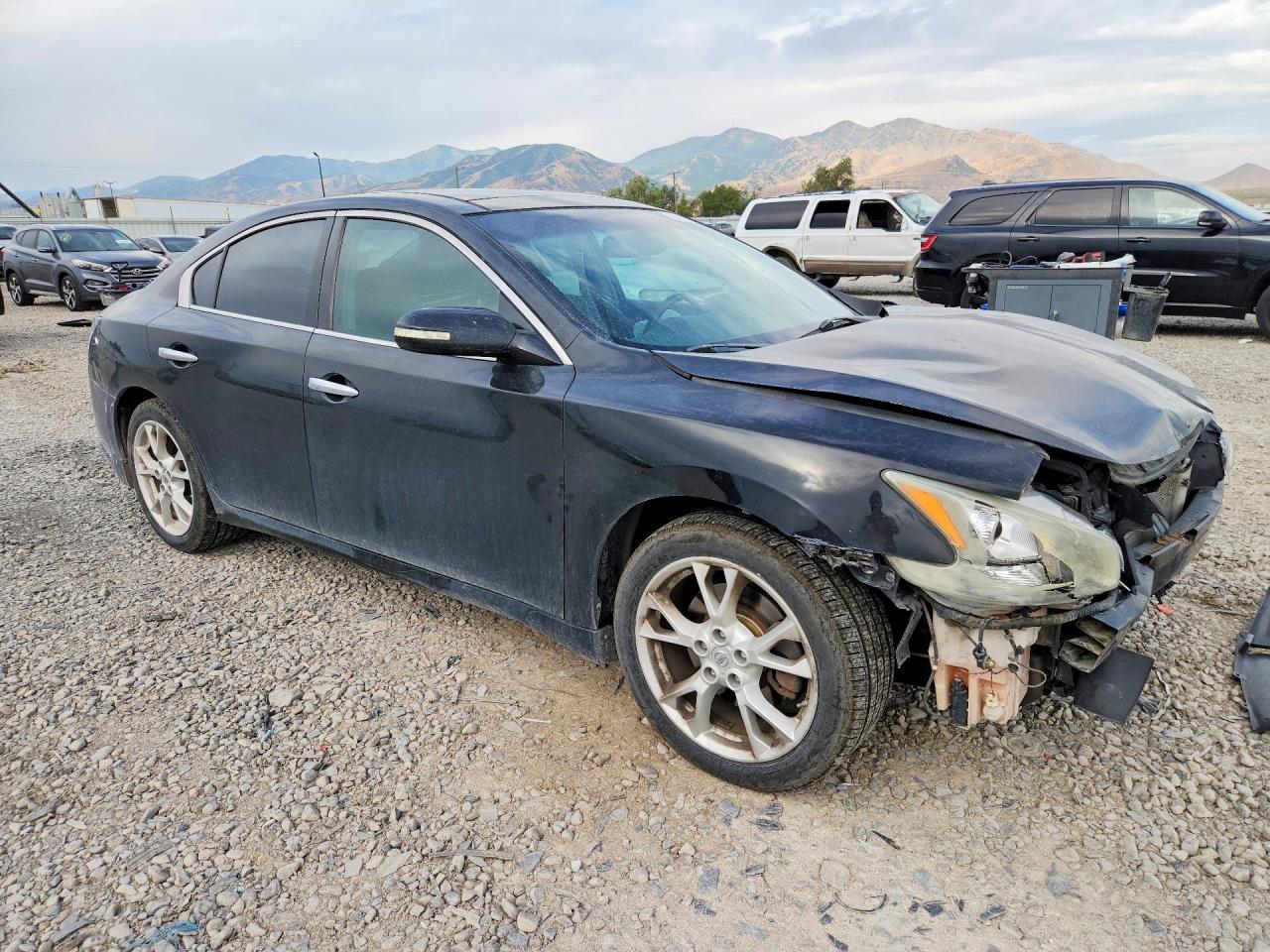 1N4AA5AP5CC854971 · 2012 NISSAN MAXIMA · 4/13