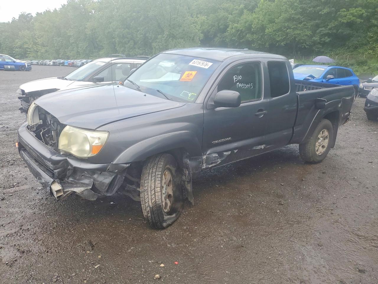 5TEUX42N39Z601297 · 2009 TOYOTA TACOMA