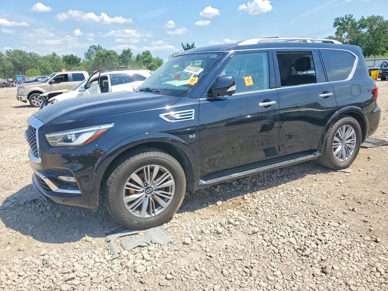 2019 INFINITI QX80