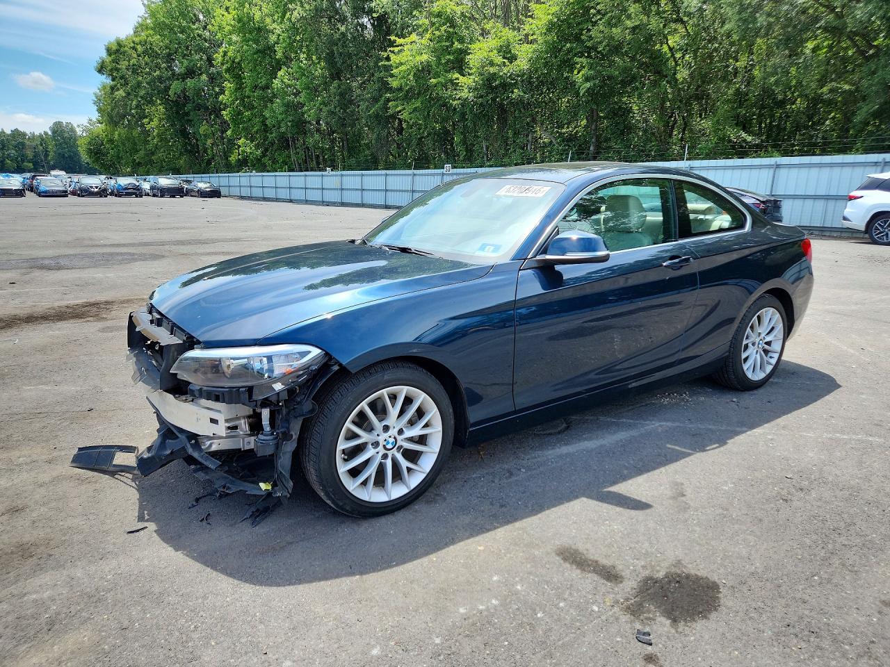 WBA1G9C57GV598870 · 2016 BMW 228