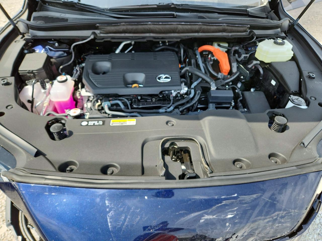 2T2BBMCAXTC138651 · 2026 LEXUS RX · 12/13