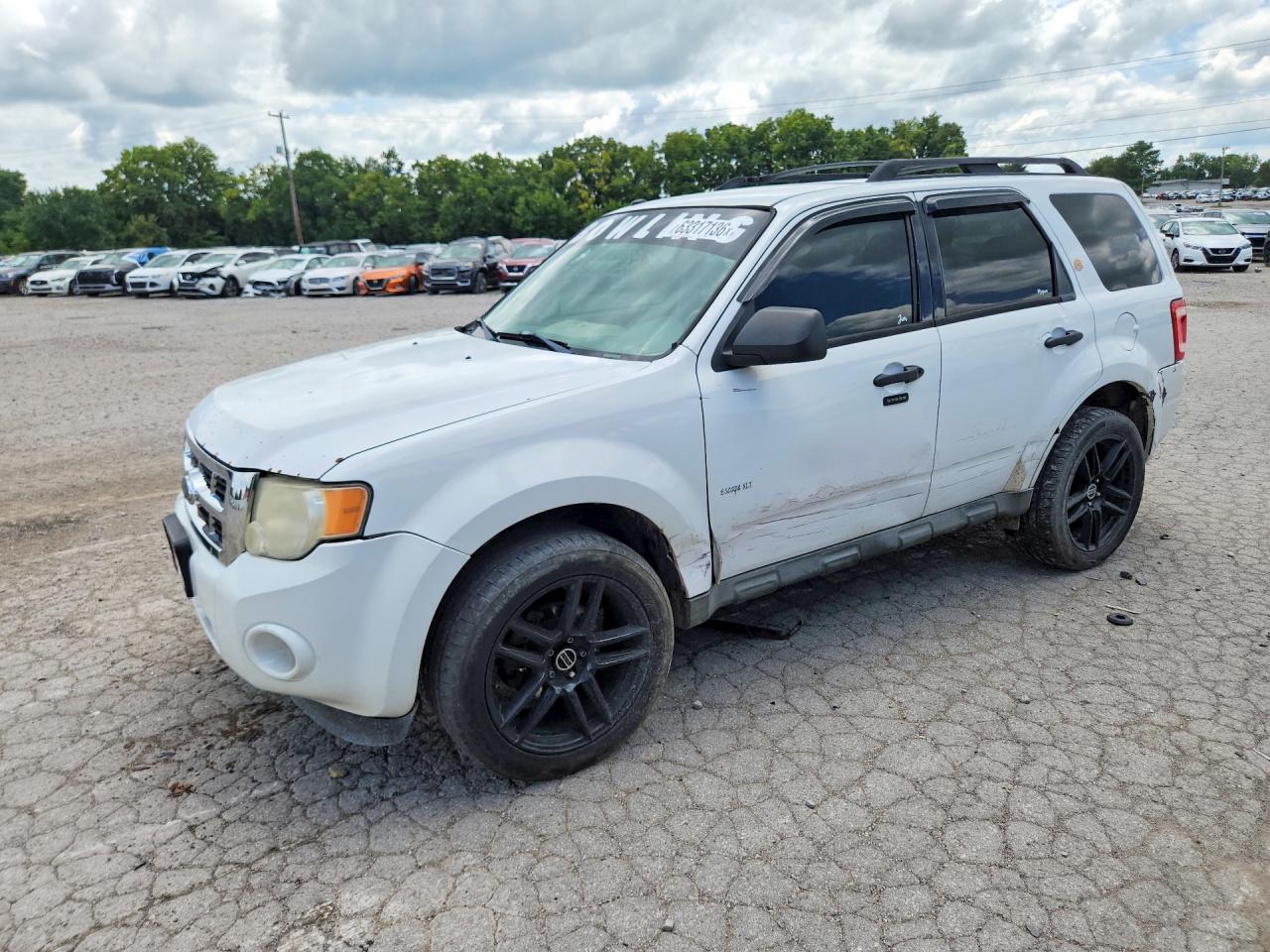 1FMCU93G99KC20023 · 2009 FORD ESCAPE