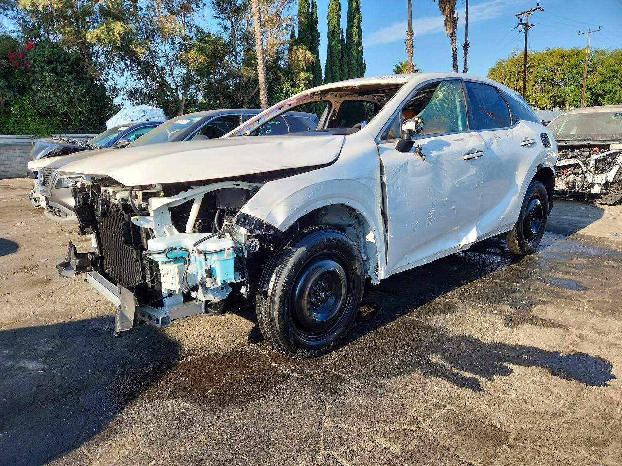 JTJCHMAA9S2034043 · 2025 LEXUS RX 350