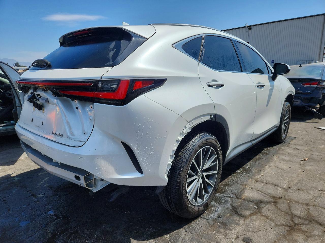 JTJADCAZ6S2017798 · 2025 LEXUS NX 250 · 3/14