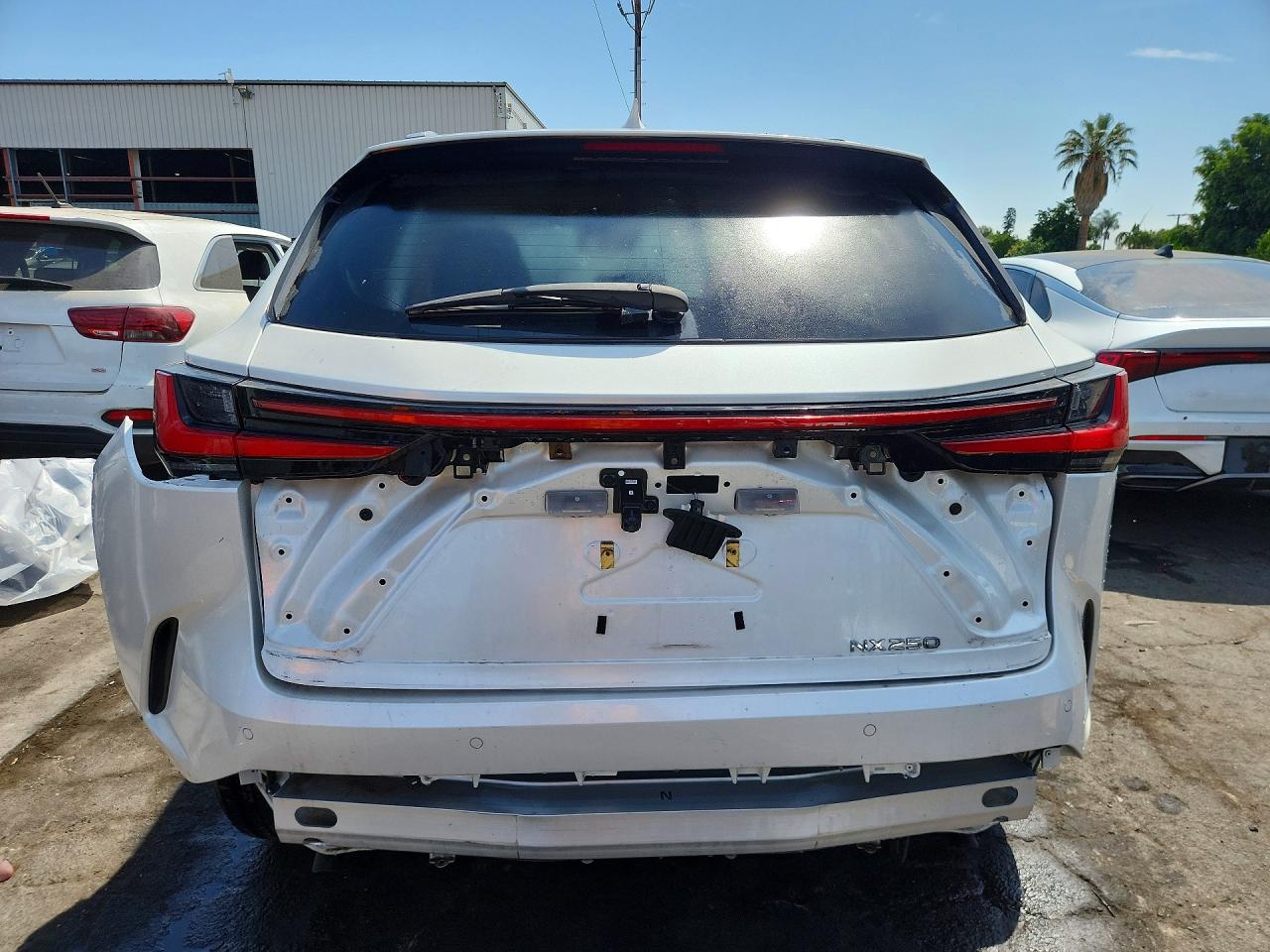 JTJADCAZ6S2017798 · 2025 LEXUS NX 250 · 6/14