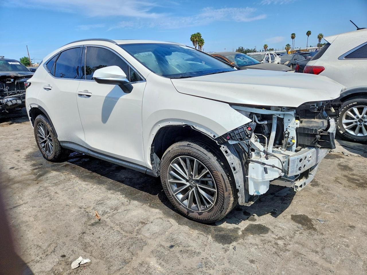 JTJADCAZ6S2017798 · 2025 LEXUS NX 250 · 4/14