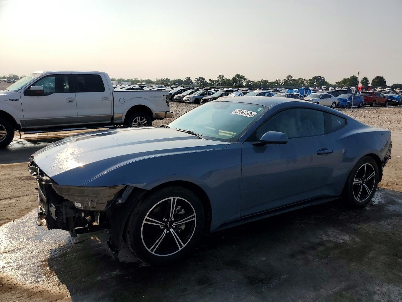 1FA6P8TH4S5126394 · 2025 FORD MUSTANG