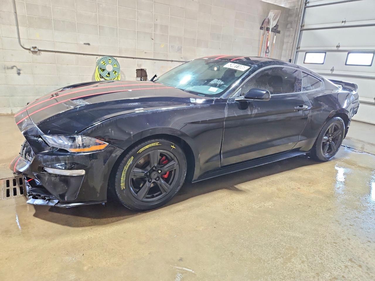 1FA6P8TH3K5116262 · 2019 FORD MUSTANG