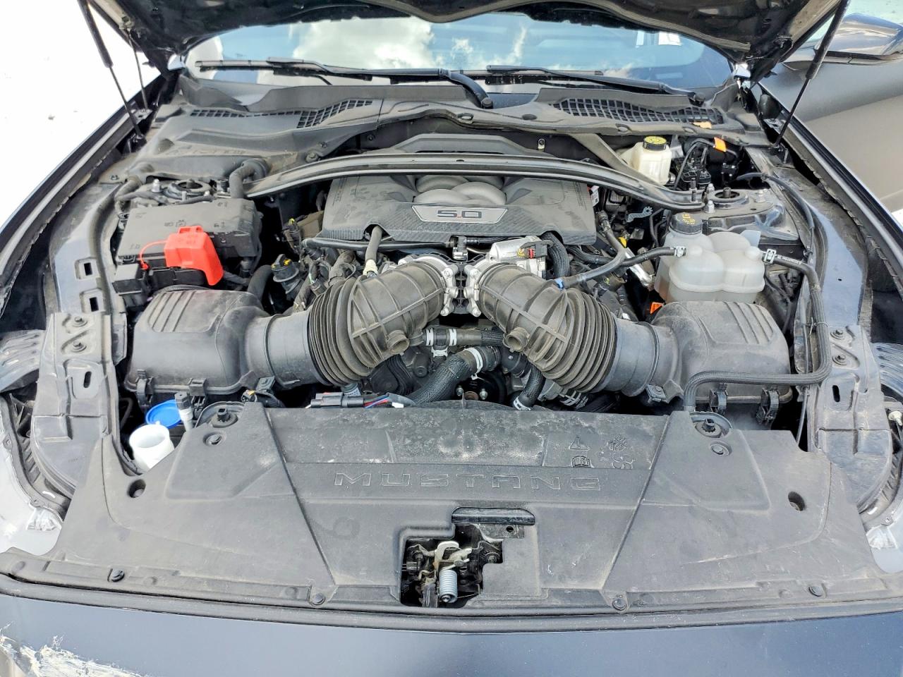 1FA6P8CF4R5427062 · 2024 FORD MUSTANG · 11/12