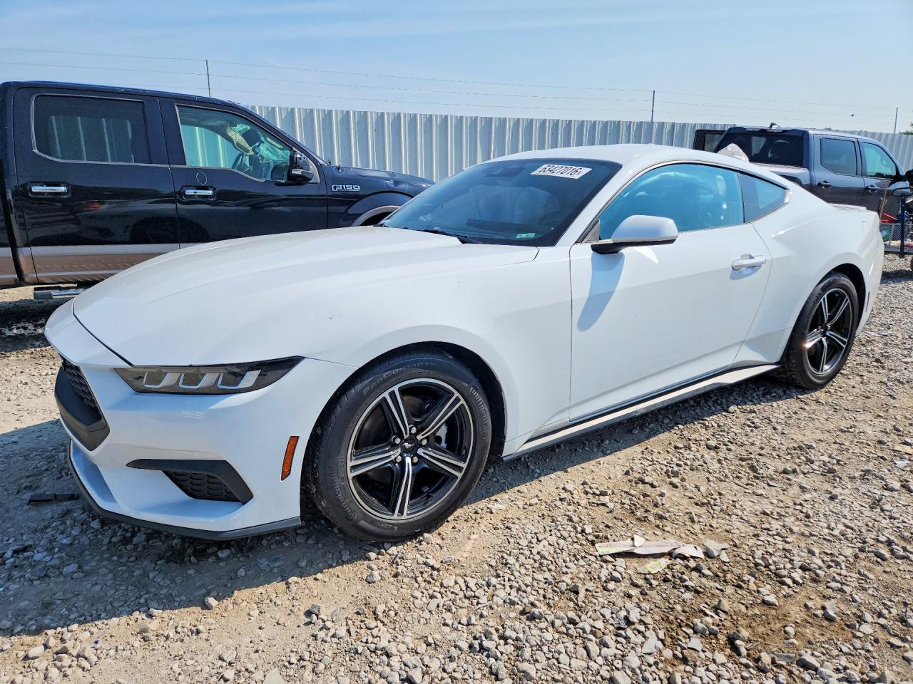 1FA6P8TH4R5125529 · 2024 FORD MUSTANG