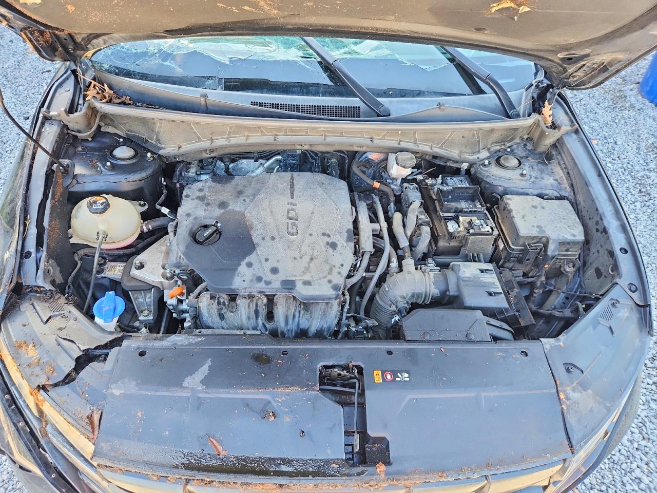 5NMJB3DE9RH333946 · 2024 HYUNDAI TUCSON · 11/13