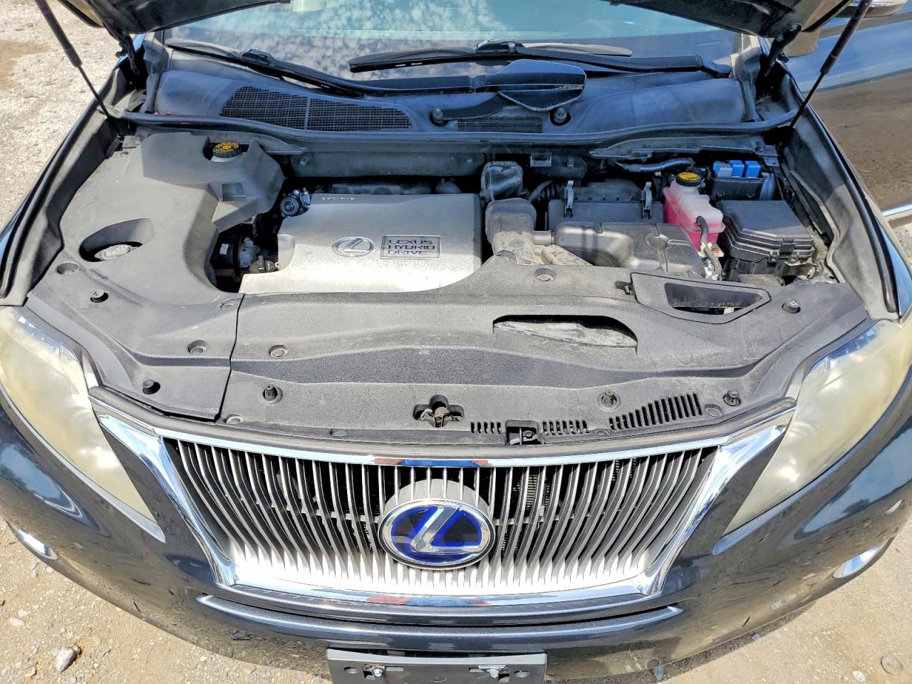 JTJBC1BA6B2042219 · 2011 LEXUS RX · 12/13
